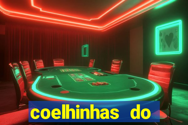 coelhinhas do brasil recife
